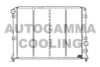 ALFA 0060533513 Radiator, engine cooling